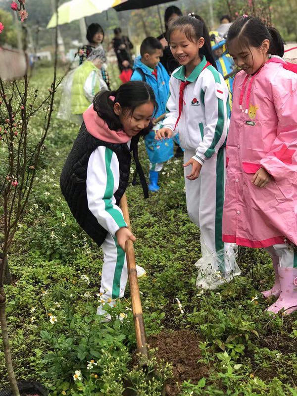 СhЄӡ(lin)꠼ՌW(xu)hָж