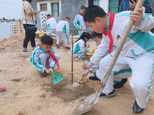 СhЄӡ(lin)꠼ՌW(xu)hָж