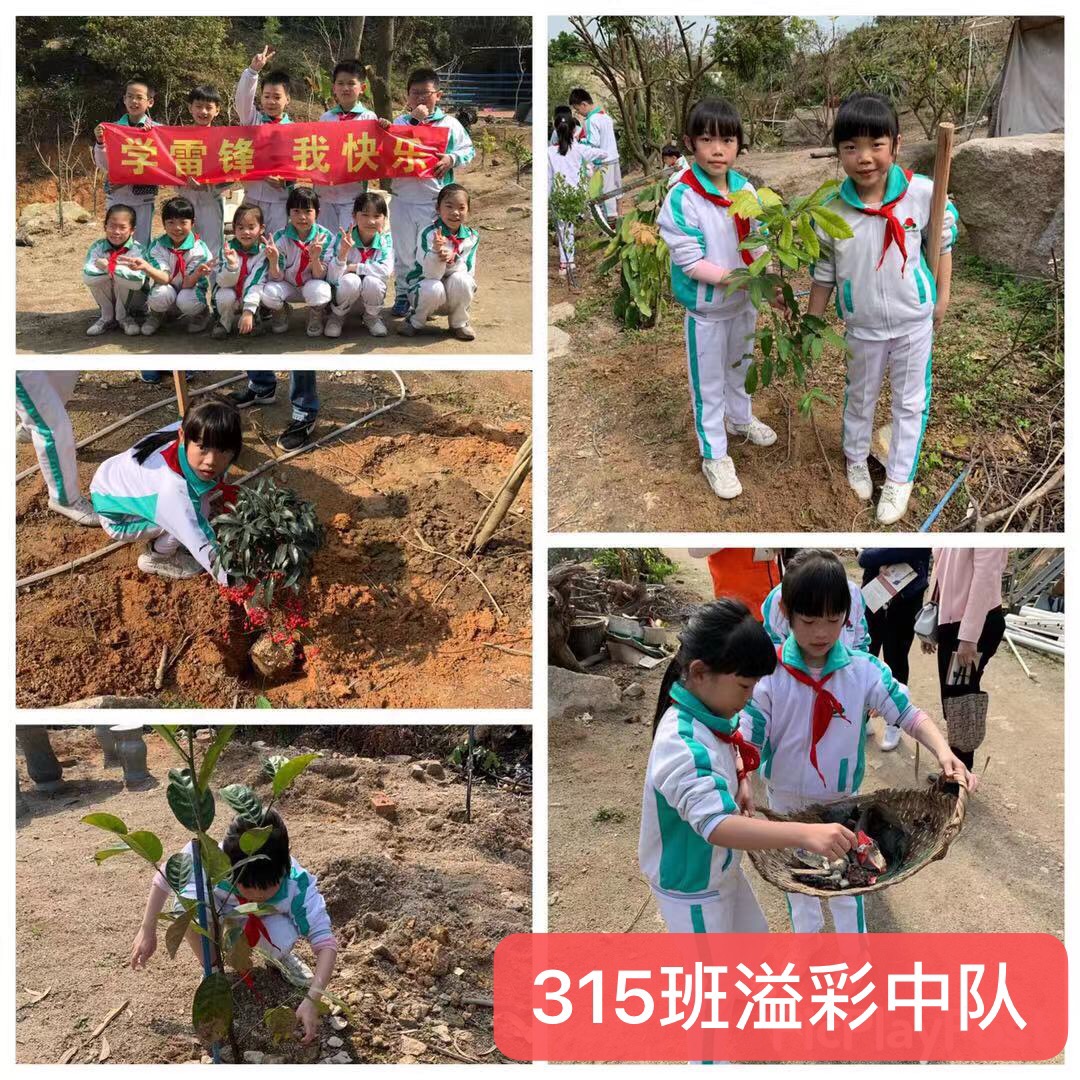 СhЄӡ(lin)꠼ՌW(xu)hָж